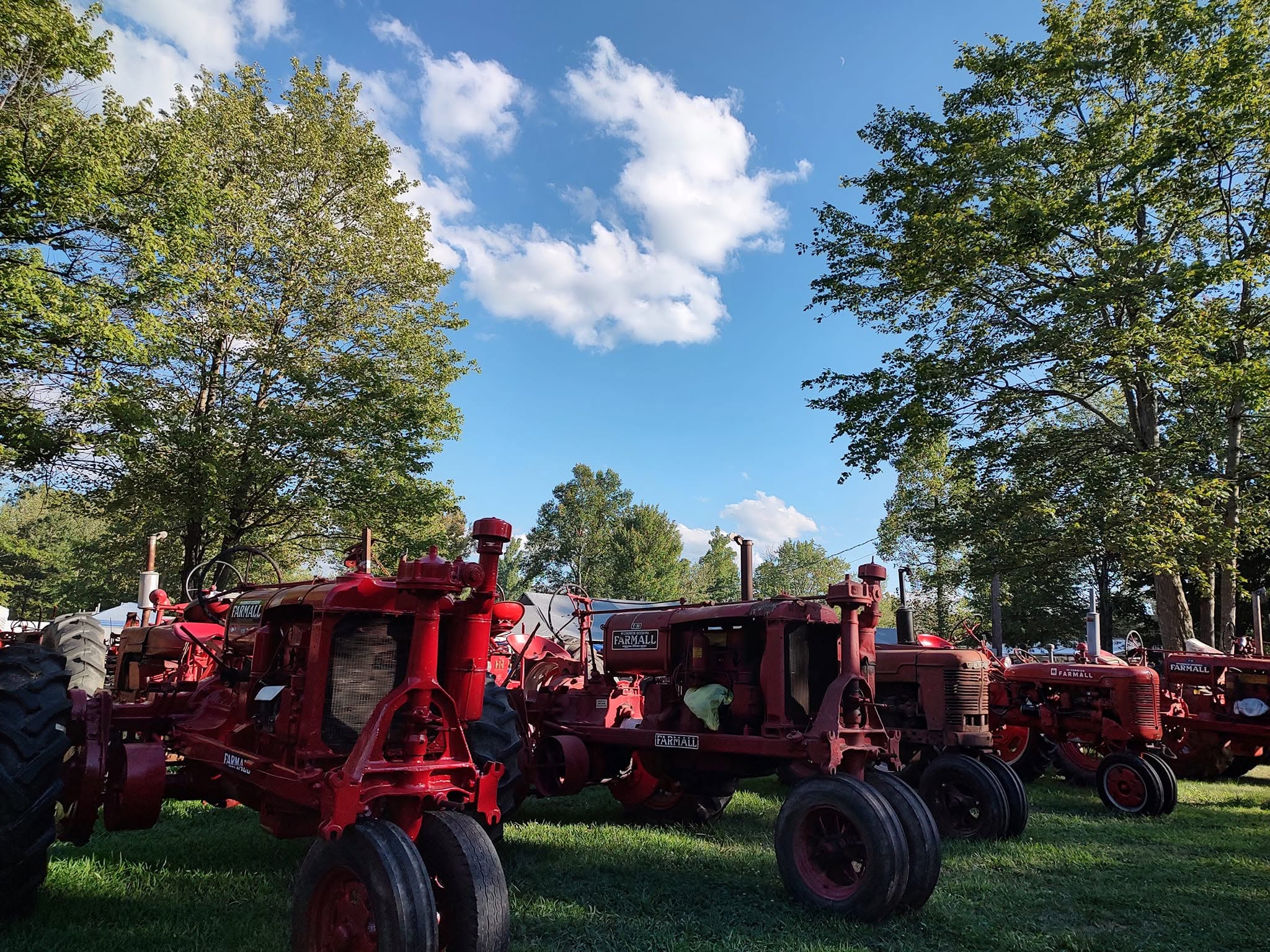 Row of red International Harvester tractors under blue sky with American flags flying
